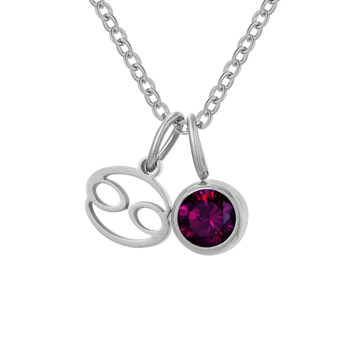 Zodiac Sign & Birthstone Necklace