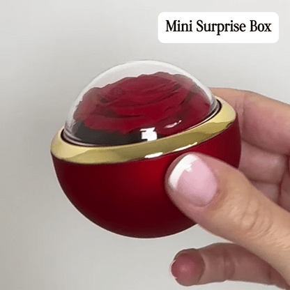 Mini Surprise Box