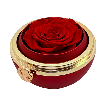 Lucky Clover Necklace - Special Set